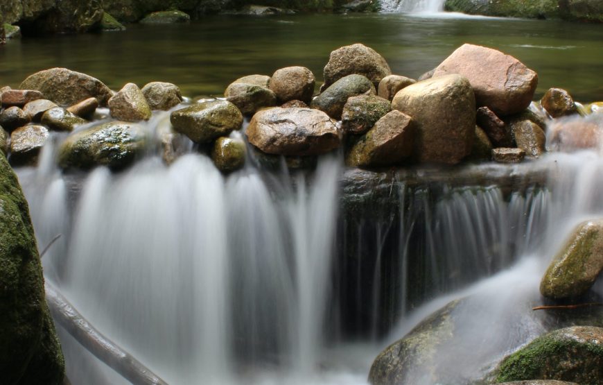 1 Day Arusha Waterfalls and Coffee Farm Tour